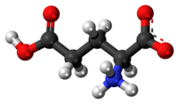 Polyglutamic acid